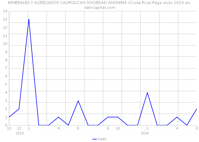 MINERALES Y AGREGADOS CAUPOLICAN SOCIEDAD ANONIMA (Costa Rica) Page visits 2024 