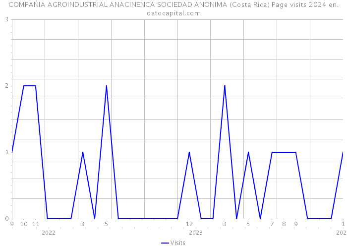 COMPAŃIA AGROINDUSTRIAL ANACINENCA SOCIEDAD ANONIMA (Costa Rica) Page visits 2024 