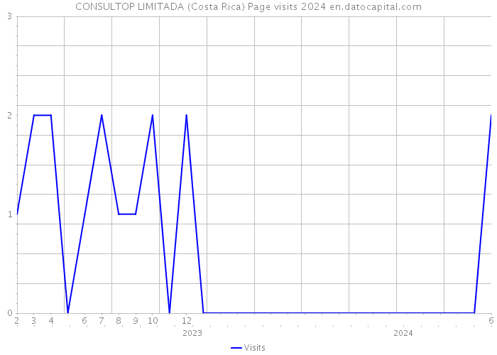 CONSULTOP LIMITADA (Costa Rica) Page visits 2024 