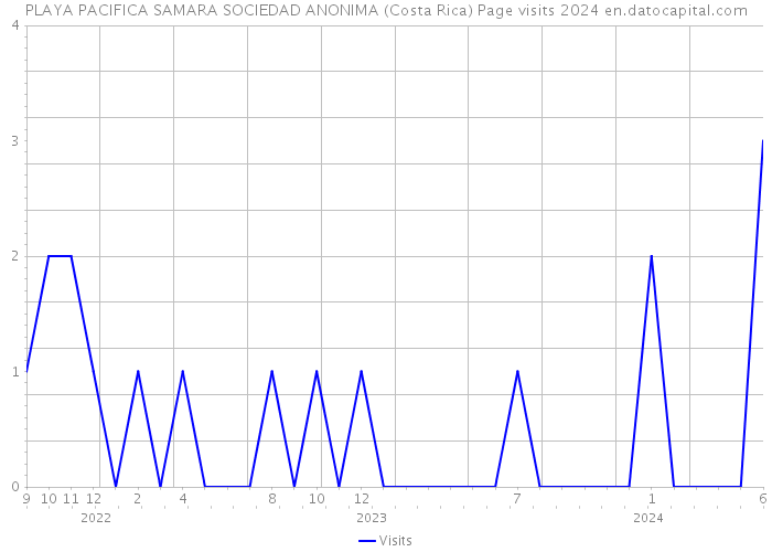 PLAYA PACIFICA SAMARA SOCIEDAD ANONIMA (Costa Rica) Page visits 2024 
