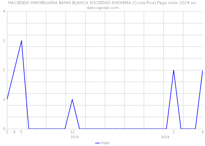 HACIENDA INMOBILIARIA BAHIA BLANCA SOCIEDAD ANONIMA (Costa Rica) Page visits 2024 