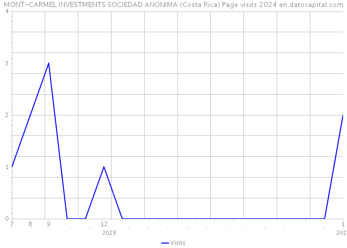 MONT-CARMEL INVESTMENTS SOCIEDAD ANONIMA (Costa Rica) Page visits 2024 