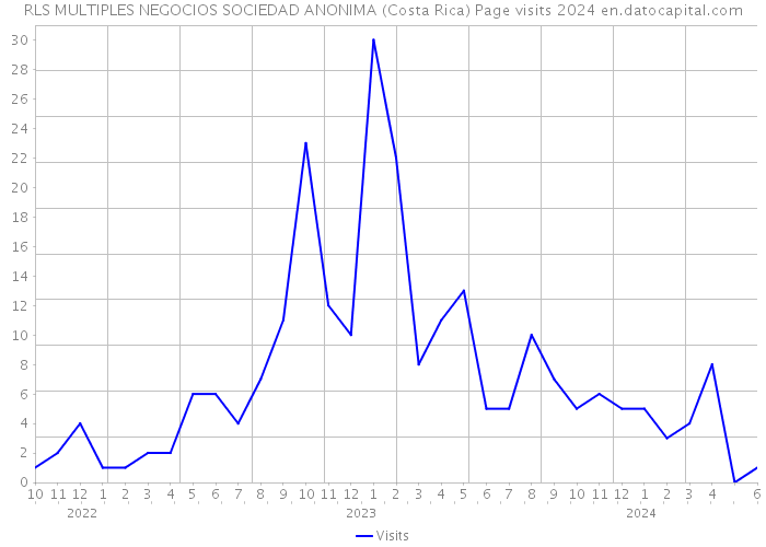 RLS MULTIPLES NEGOCIOS SOCIEDAD ANONIMA (Costa Rica) Page visits 2024 