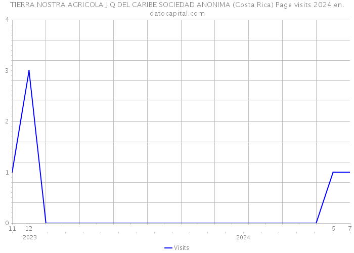 TIERRA NOSTRA AGRICOLA J Q DEL CARIBE SOCIEDAD ANONIMA (Costa Rica) Page visits 2024 