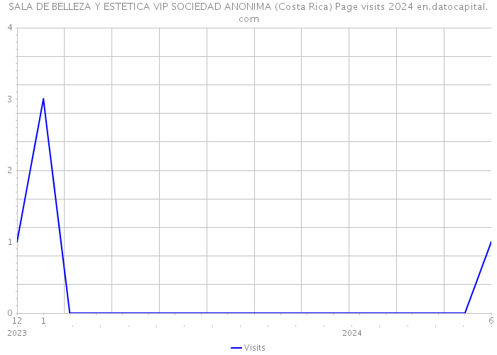SALA DE BELLEZA Y ESTETICA VIP SOCIEDAD ANONIMA (Costa Rica) Page visits 2024 