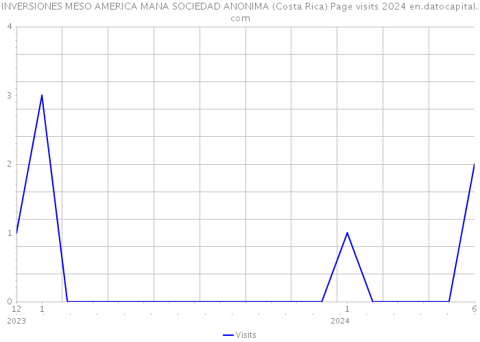 INVERSIONES MESO AMERICA MANA SOCIEDAD ANONIMA (Costa Rica) Page visits 2024 