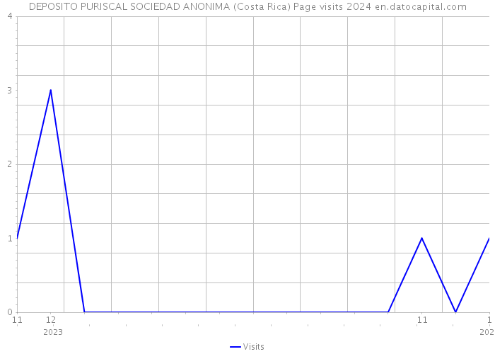 DEPOSITO PURISCAL SOCIEDAD ANONIMA (Costa Rica) Page visits 2024 