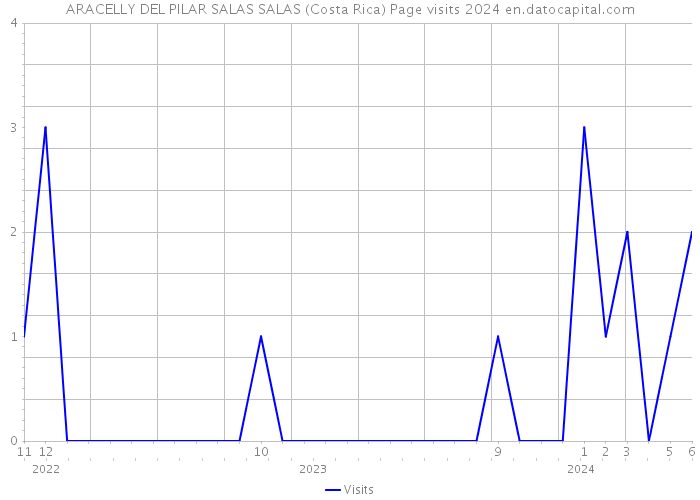 ARACELLY DEL PILAR SALAS SALAS (Costa Rica) Page visits 2024 