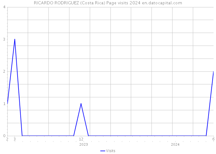RICARDO RODRIGUEZ (Costa Rica) Page visits 2024 