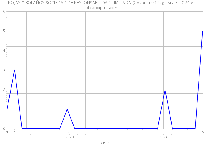 ROJAS Y BOLAŃOS SOCIEDAD DE RESPONSABILIDAD LIMITADA (Costa Rica) Page visits 2024 