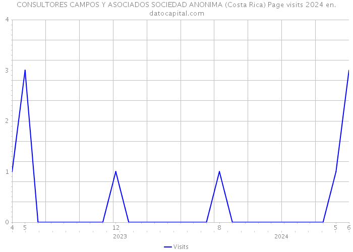 CONSULTORES CAMPOS Y ASOCIADOS SOCIEDAD ANONIMA (Costa Rica) Page visits 2024 
