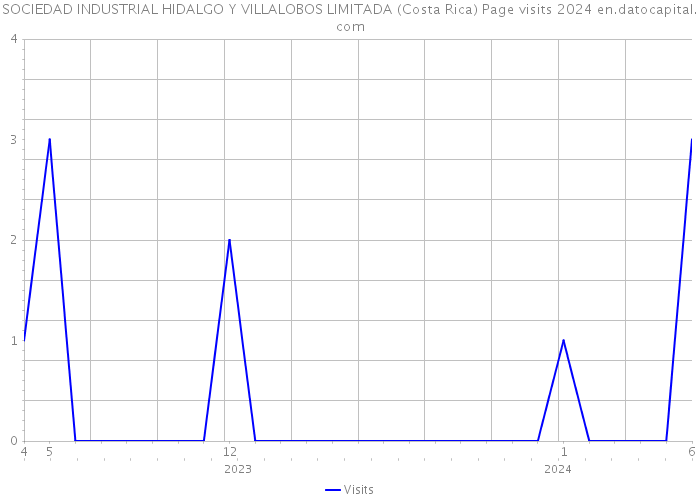 SOCIEDAD INDUSTRIAL HIDALGO Y VILLALOBOS LIMITADA (Costa Rica) Page visits 2024 