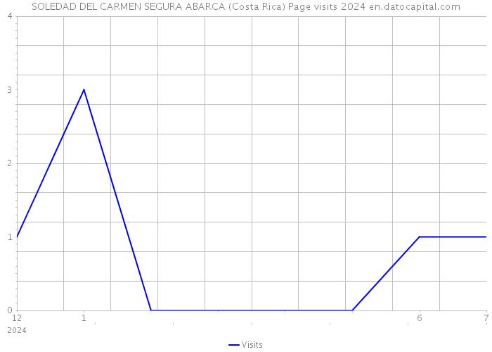 SOLEDAD DEL CARMEN SEGURA ABARCA (Costa Rica) Page visits 2024 