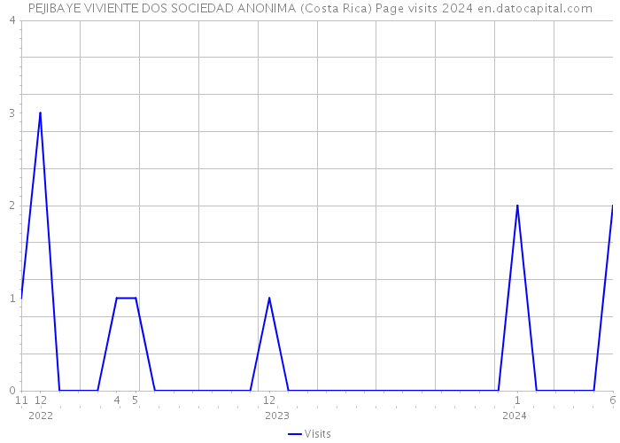 PEJIBAYE VIVIENTE DOS SOCIEDAD ANONIMA (Costa Rica) Page visits 2024 