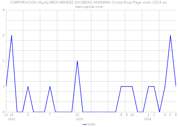 CORPORACION VILLALOBOS MENDEZ SOCIEDAD ANONIMA (Costa Rica) Page visits 2024 