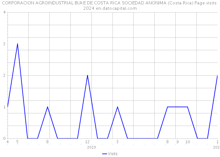 CORPORACION AGROINDUSTRIAL BUKE DE COSTA RICA SOCIEDAD ANONIMA (Costa Rica) Page visits 2024 