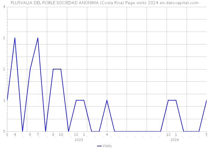 PLUSVALIA DEL ROBLE SOCIEDAD ANONIMA (Costa Rica) Page visits 2024 