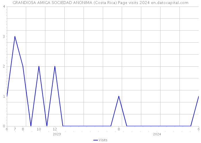 GRANDIOSA AMIGA SOCIEDAD ANONIMA (Costa Rica) Page visits 2024 