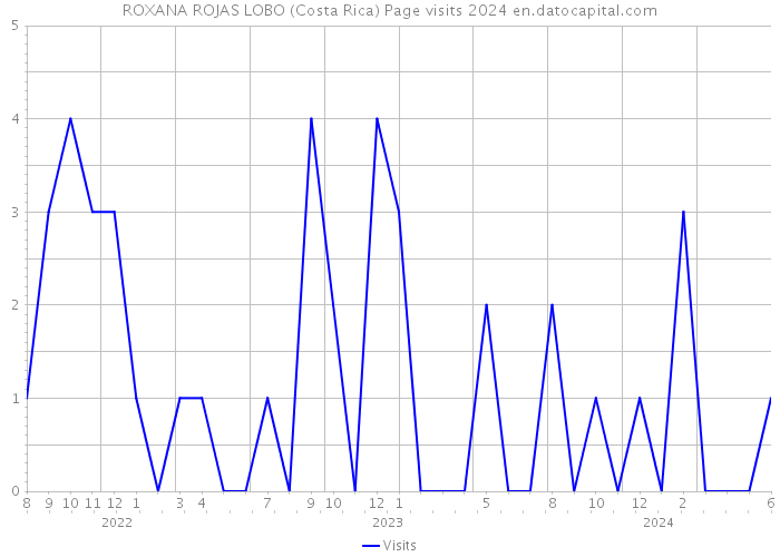 ROXANA ROJAS LOBO (Costa Rica) Page visits 2024 