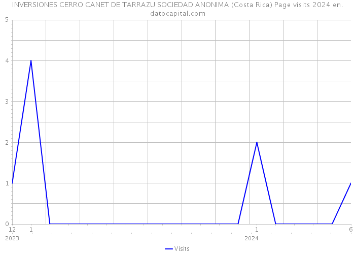 INVERSIONES CERRO CANET DE TARRAZU SOCIEDAD ANONIMA (Costa Rica) Page visits 2024 