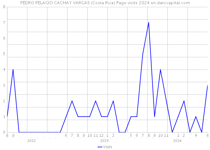 PEDRO PELAGIO CACHAY VARGAS (Costa Rica) Page visits 2024 