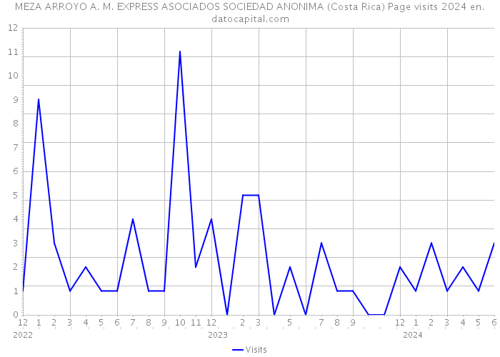 MEZA ARROYO A. M. EXPRESS ASOCIADOS SOCIEDAD ANONIMA (Costa Rica) Page visits 2024 