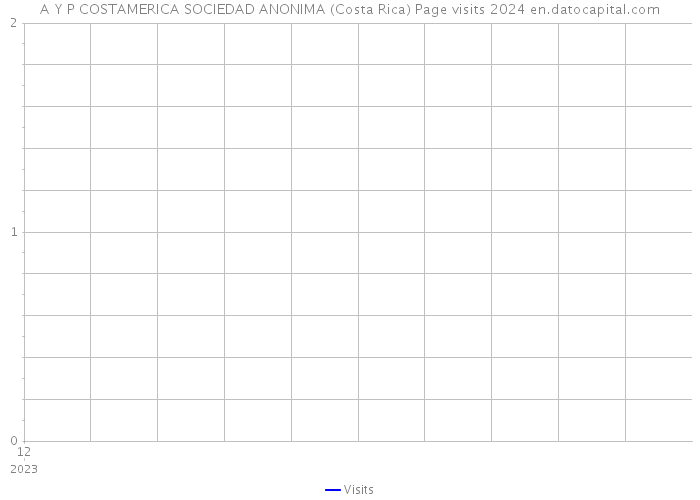A Y P COSTAMERICA SOCIEDAD ANONIMA (Costa Rica) Page visits 2024 