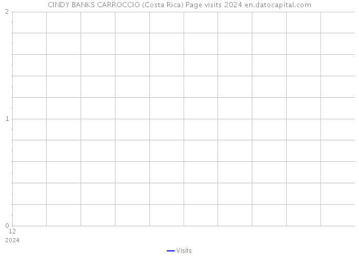 CINDY BANKS CARROCCIO (Costa Rica) Page visits 2024 