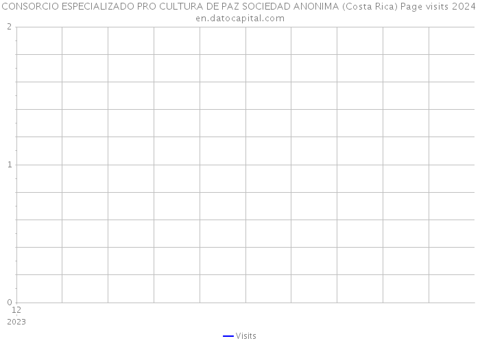 CONSORCIO ESPECIALIZADO PRO CULTURA DE PAZ SOCIEDAD ANONIMA (Costa Rica) Page visits 2024 
