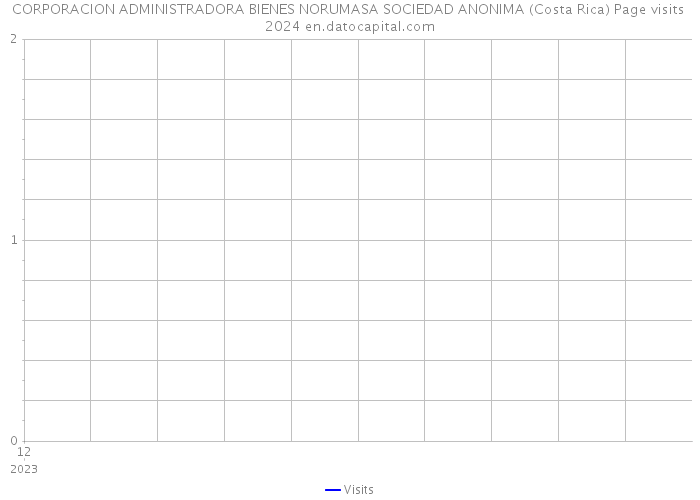 CORPORACION ADMINISTRADORA BIENES NORUMASA SOCIEDAD ANONIMA (Costa Rica) Page visits 2024 