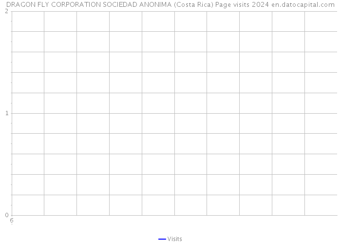 DRAGON FLY CORPORATION SOCIEDAD ANONIMA (Costa Rica) Page visits 2024 