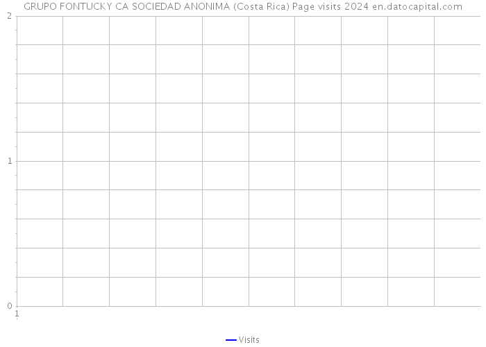 GRUPO FONTUCKY CA SOCIEDAD ANONIMA (Costa Rica) Page visits 2024 