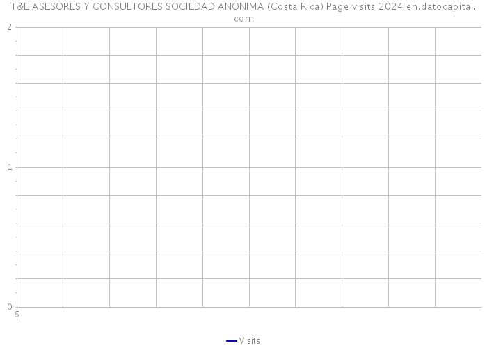 T&E ASESORES Y CONSULTORES SOCIEDAD ANONIMA (Costa Rica) Page visits 2024 