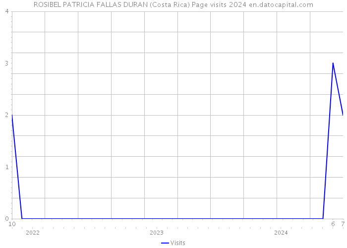 ROSIBEL PATRICIA FALLAS DURAN (Costa Rica) Page visits 2024 