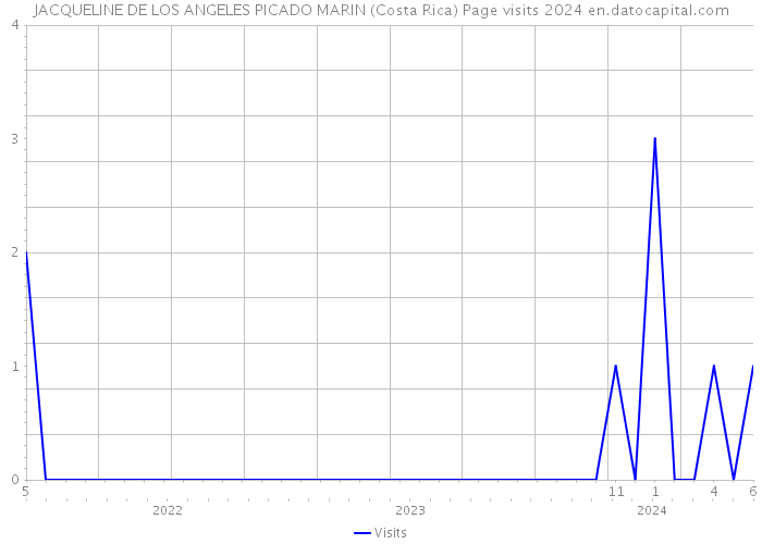 JACQUELINE DE LOS ANGELES PICADO MARIN (Costa Rica) Page visits 2024 