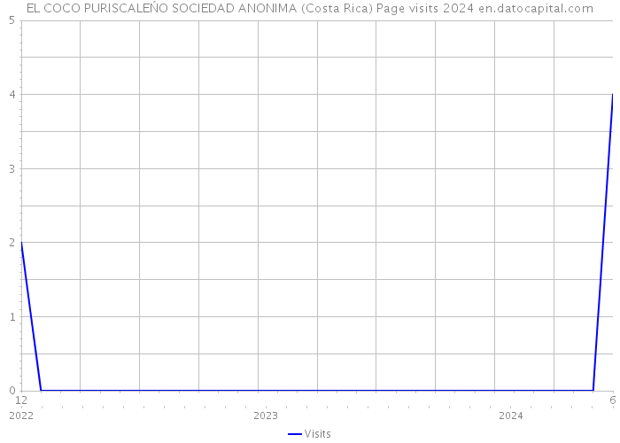 EL COCO PURISCALEŃO SOCIEDAD ANONIMA (Costa Rica) Page visits 2024 