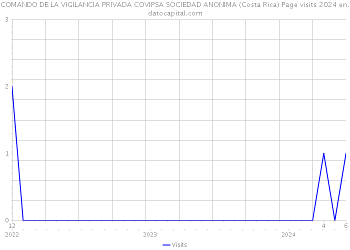 COMANDO DE LA VIGILANCIA PRIVADA COVIPSA SOCIEDAD ANONIMA (Costa Rica) Page visits 2024 