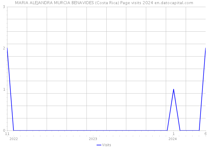 MARIA ALEJANDRA MURCIA BENAVIDES (Costa Rica) Page visits 2024 
