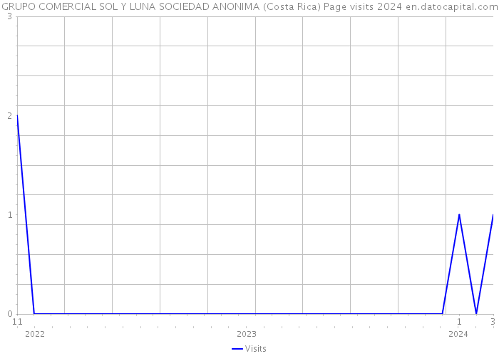 GRUPO COMERCIAL SOL Y LUNA SOCIEDAD ANONIMA (Costa Rica) Page visits 2024 