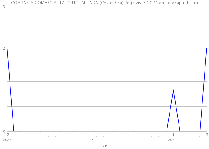 COMPAŃIA COMERCIAL LA CRUZ LIMITADA (Costa Rica) Page visits 2024 