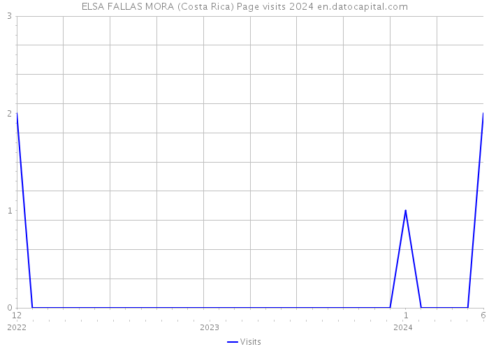 ELSA FALLAS MORA (Costa Rica) Page visits 2024 