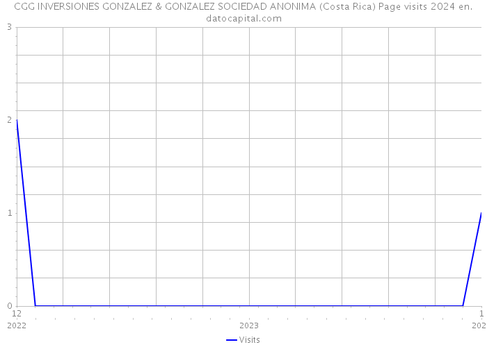 CGG INVERSIONES GONZALEZ & GONZALEZ SOCIEDAD ANONIMA (Costa Rica) Page visits 2024 