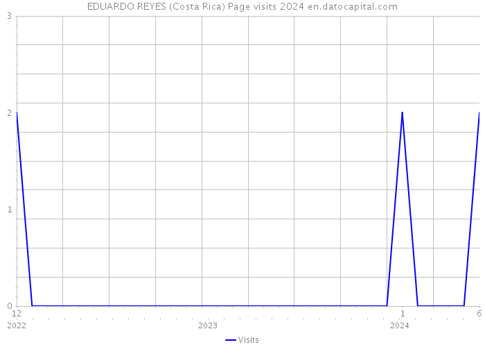 EDUARDO REYES (Costa Rica) Page visits 2024 