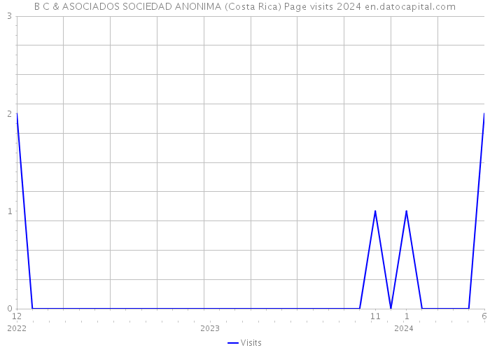 B C & ASOCIADOS SOCIEDAD ANONIMA (Costa Rica) Page visits 2024 