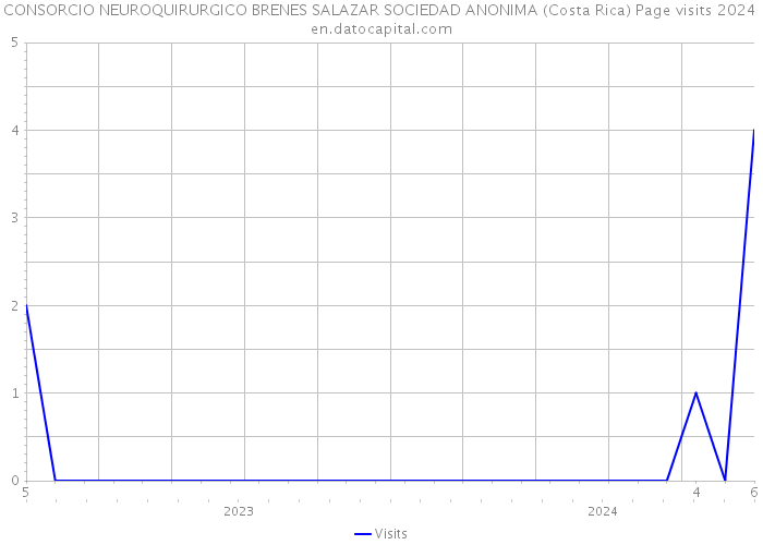 CONSORCIO NEUROQUIRURGICO BRENES SALAZAR SOCIEDAD ANONIMA (Costa Rica) Page visits 2024 