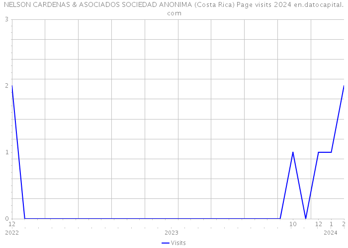 NELSON CARDENAS & ASOCIADOS SOCIEDAD ANONIMA (Costa Rica) Page visits 2024 