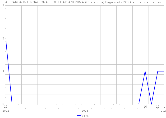 HAS CARGA INTERNACIONAL SOCIEDAD ANONIMA (Costa Rica) Page visits 2024 