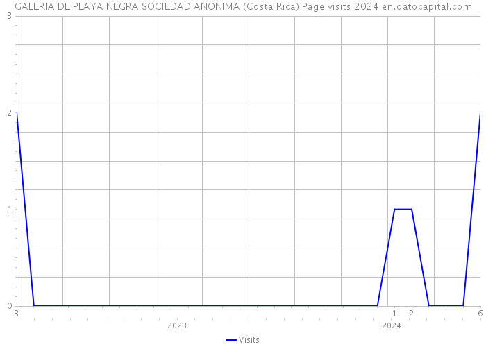GALERIA DE PLAYA NEGRA SOCIEDAD ANONIMA (Costa Rica) Page visits 2024 