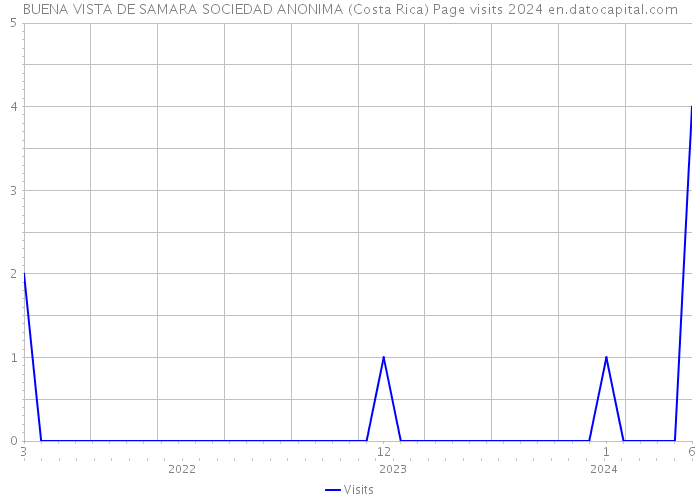 BUENA VISTA DE SAMARA SOCIEDAD ANONIMA (Costa Rica) Page visits 2024 