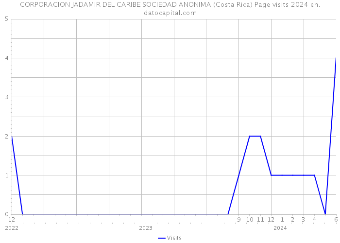 CORPORACION JADAMIR DEL CARIBE SOCIEDAD ANONIMA (Costa Rica) Page visits 2024 